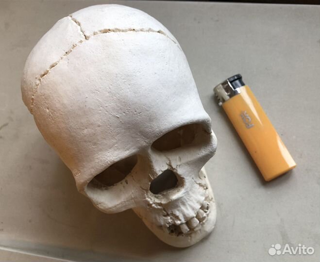 Аквариумный декор 