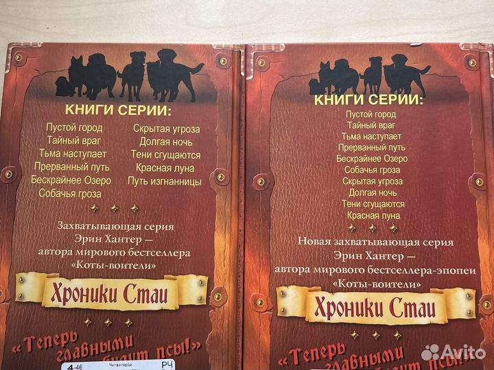 Книги хроники стаи