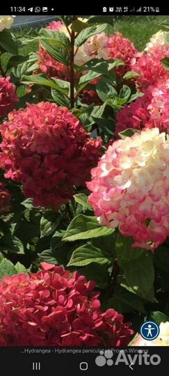 Новинки на весну 23г