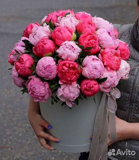 Пионы Букет пионов