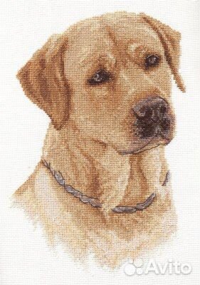 Набор для вышивания крестом panna