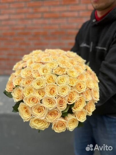 Розы Голландские свежие Букет 51 роза