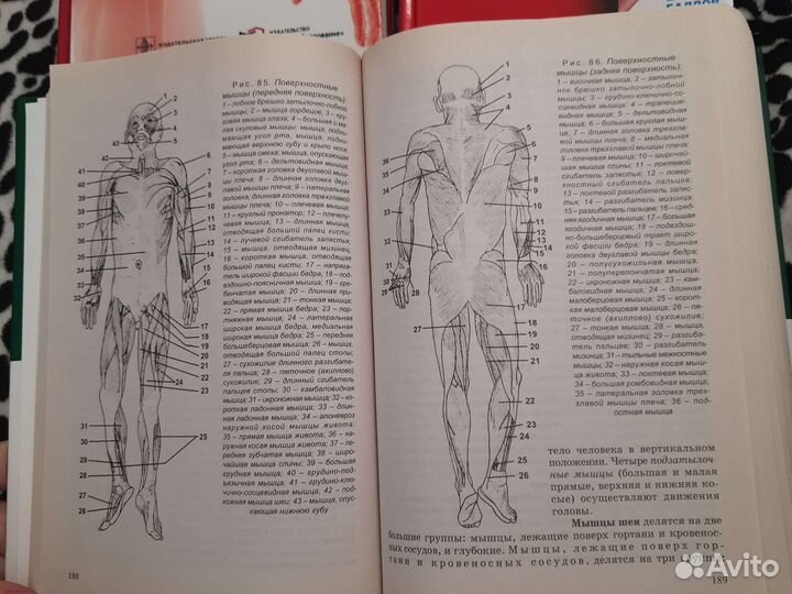 Учебник по биологии