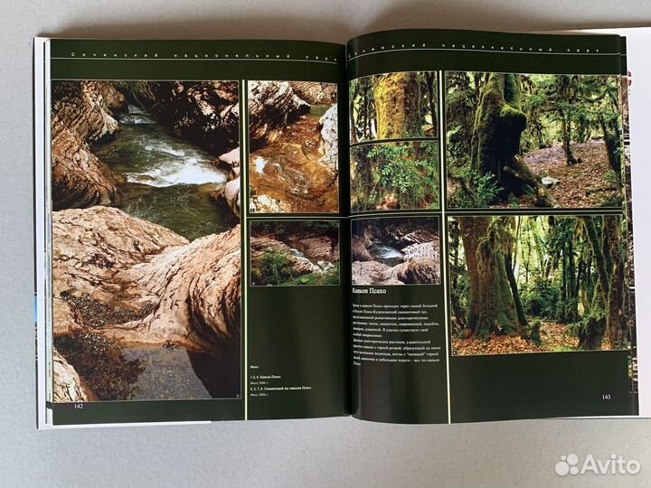 Книга о Сочи, фотографии начала 20 века