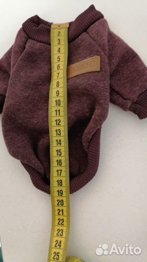 Одежда для собак