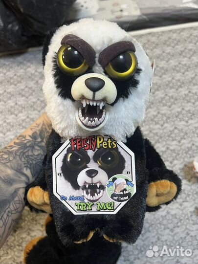 Мишка злюка