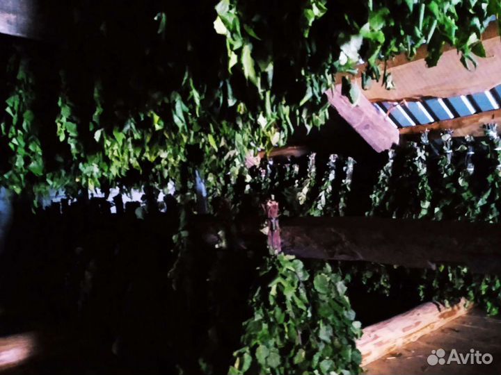 Веники березовые и дубовые