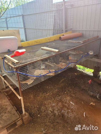 Клетка откормочная
