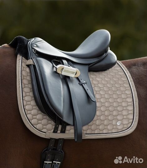 Вальтрап waldhausen