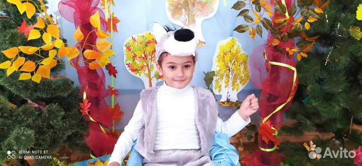 Костюм серый волк