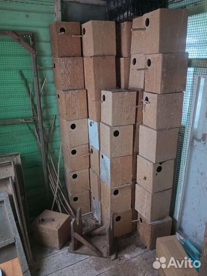 Домик для попугаев