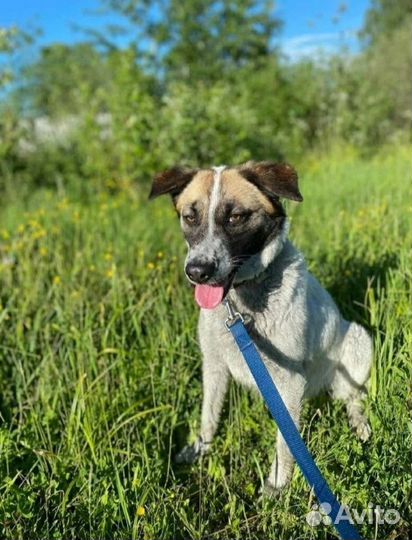 Маша ласкуша