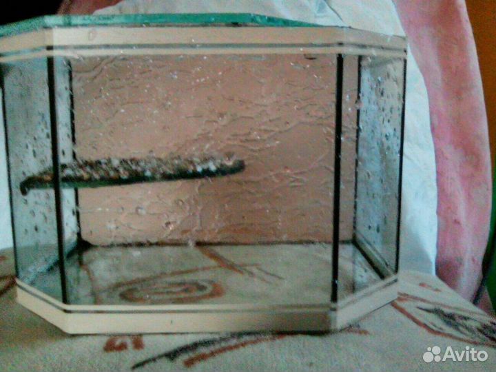 Мини террариум