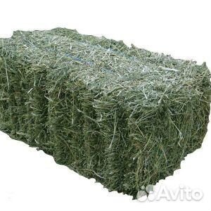 Сено в тюках