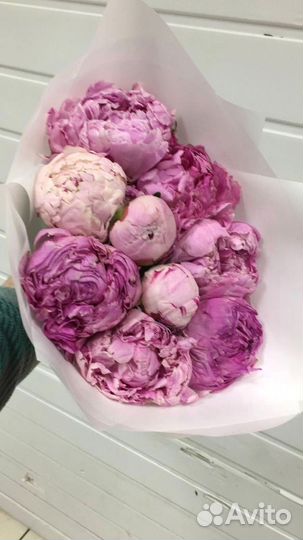 Пионы букет