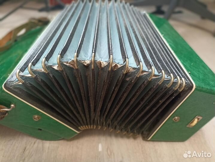 Аккордеон