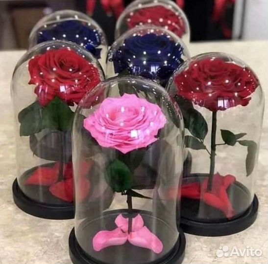 Розы в колбе на выбор