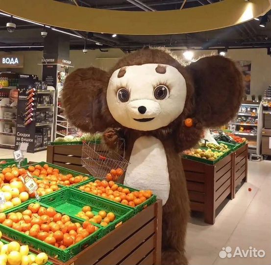 Пневмокостюм чебур