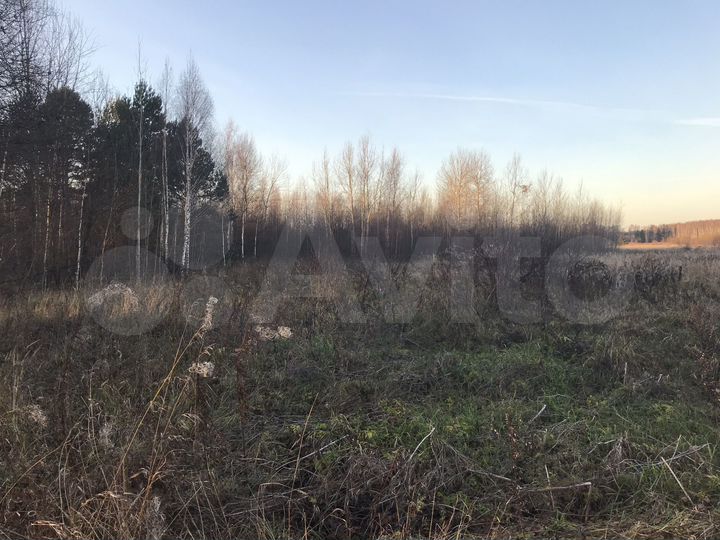 Участок 5 га (СНТ, ДНП)