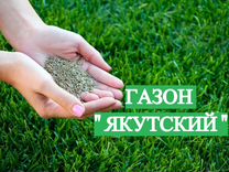 Семена газона, травосмесь "Якутский газон"