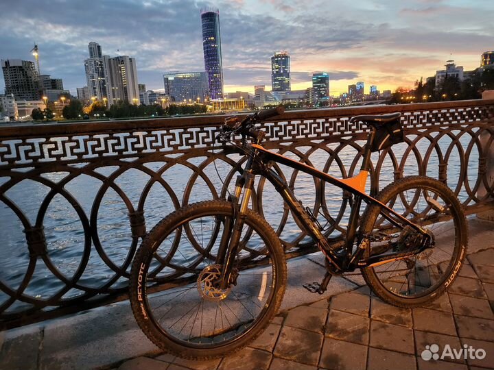 Jamis Nemesis Team Carbon