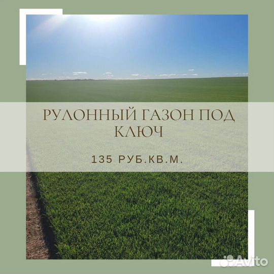 Рулонный газон