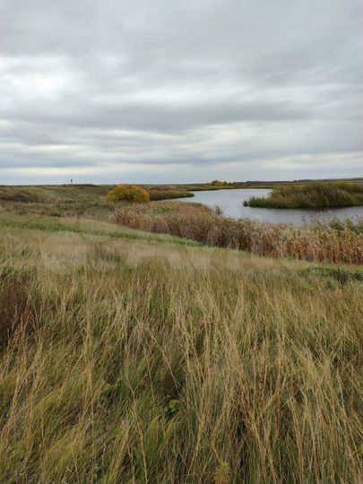 Участок 5500 га (СНТ, ДНП)