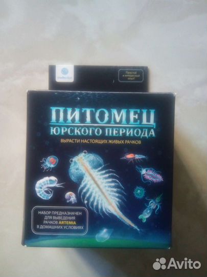 Выращивание живых рачков