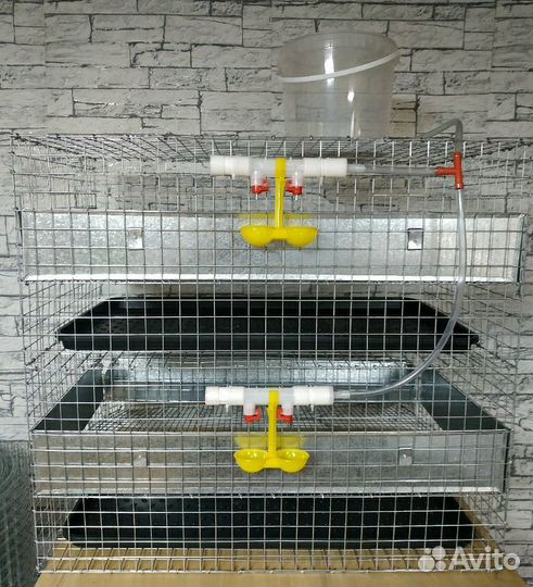 Клетка для перепелов 2 секции