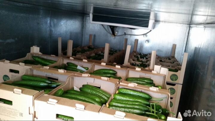 Рефрижератор 1-3-5-10 тонн