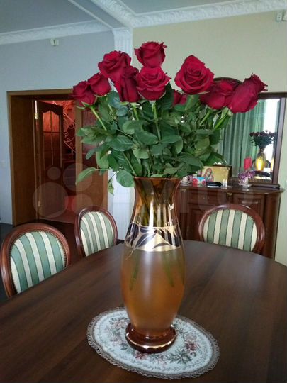 Дом 562 м² на участке 40 сот.