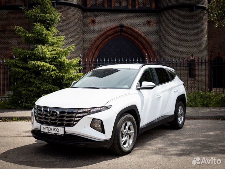 Аренда авто в Калининграде без водителя