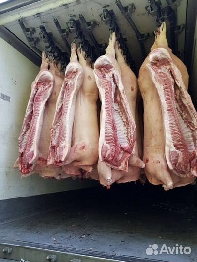 Мясо свинина