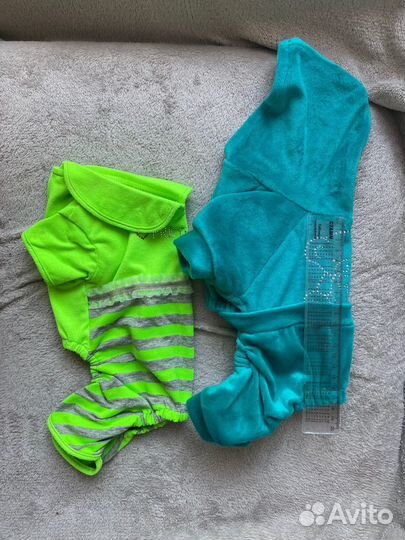 Одежда для мелких собак