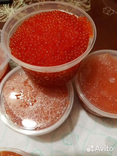 Форель из Карелии