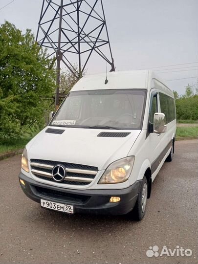 Пассажирские перевозки микроавтобус