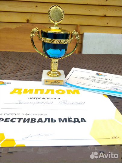 Мёд в сотах