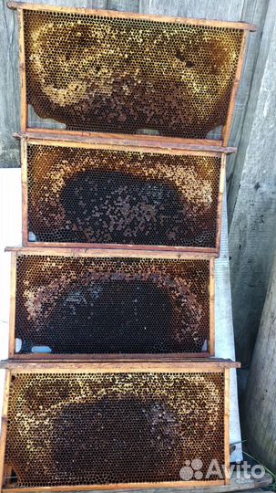 Улья рутта рамки