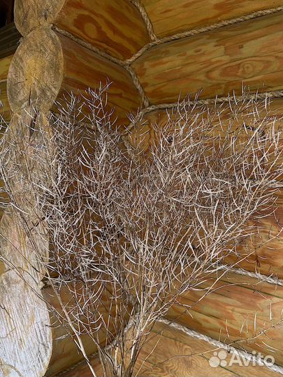 Букет сухоцветов