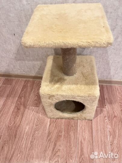 Когтеточка