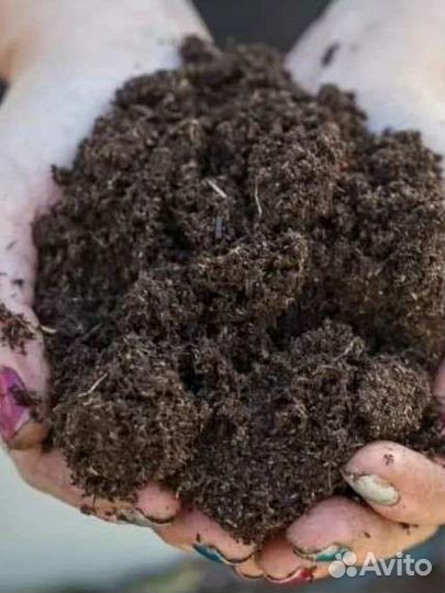 Навоз.Перегной Продам