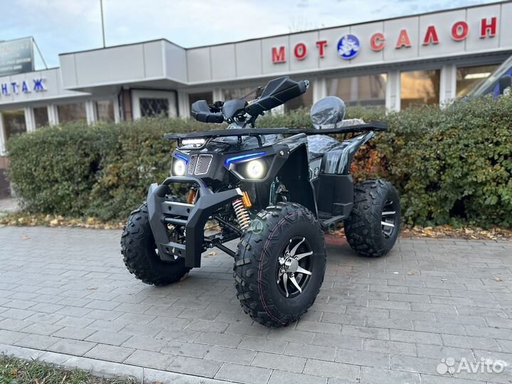 Новый квадроцикл hammer 200 NEW LD 2023