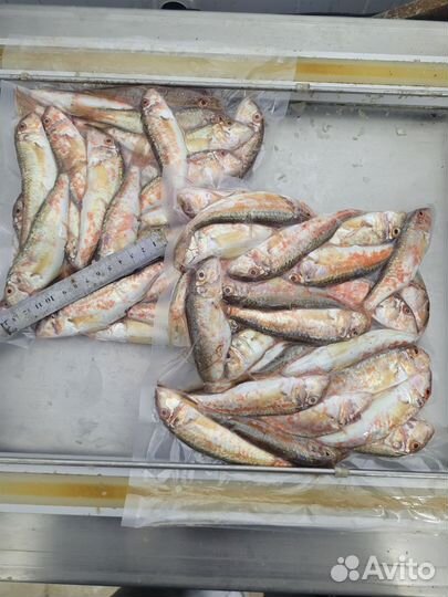 Рыба свежемороженая черноморская рыба опт