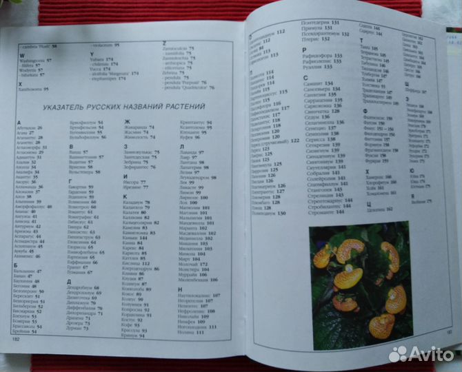 Энциклопедия Комнатные растения