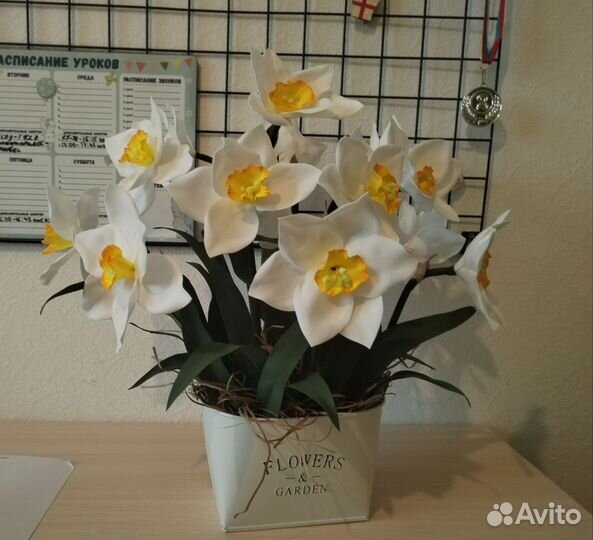Цветы нарциссы