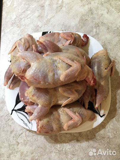 Перепела, перепелиные яйца, мясо