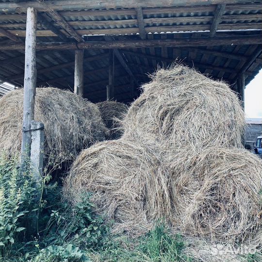 Сено