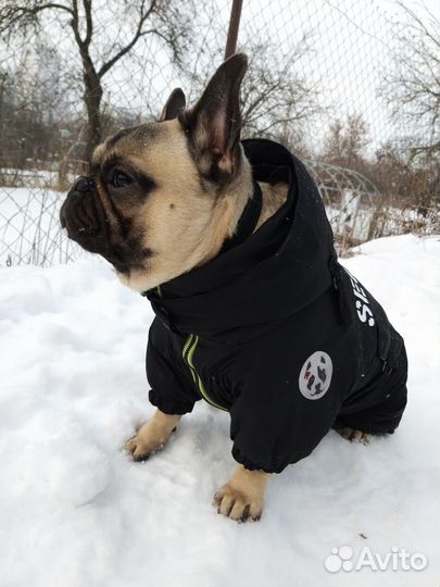 Зимний комбинезон для собак