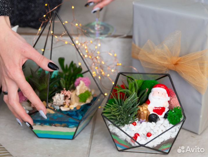 Растения в колбе бонсай