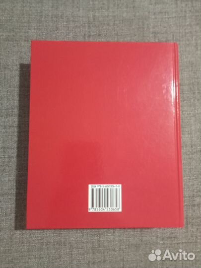 Большой китайско-русский русско-китайский словарь